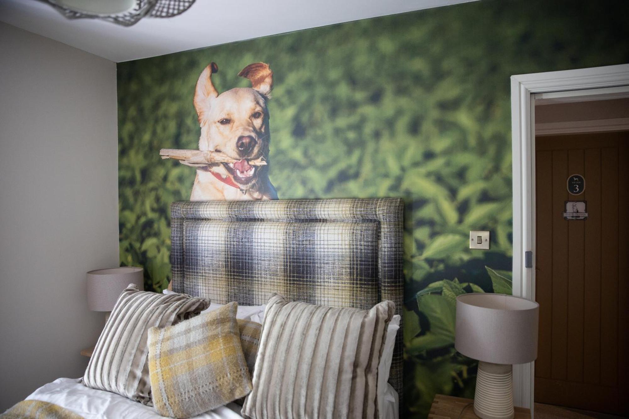 The Dog In Over Peover Knutsford Exteriér fotografie